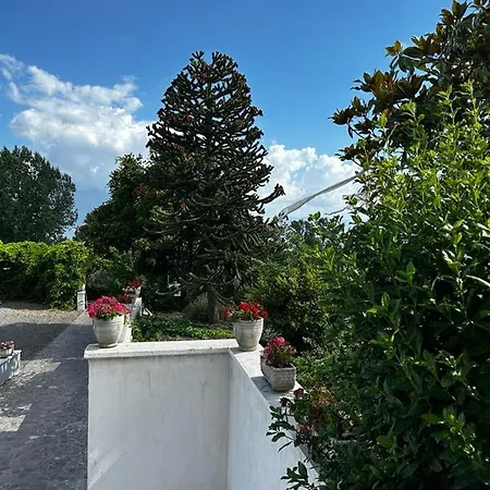 Le Sette Punte Maison d'hôtes Trecase